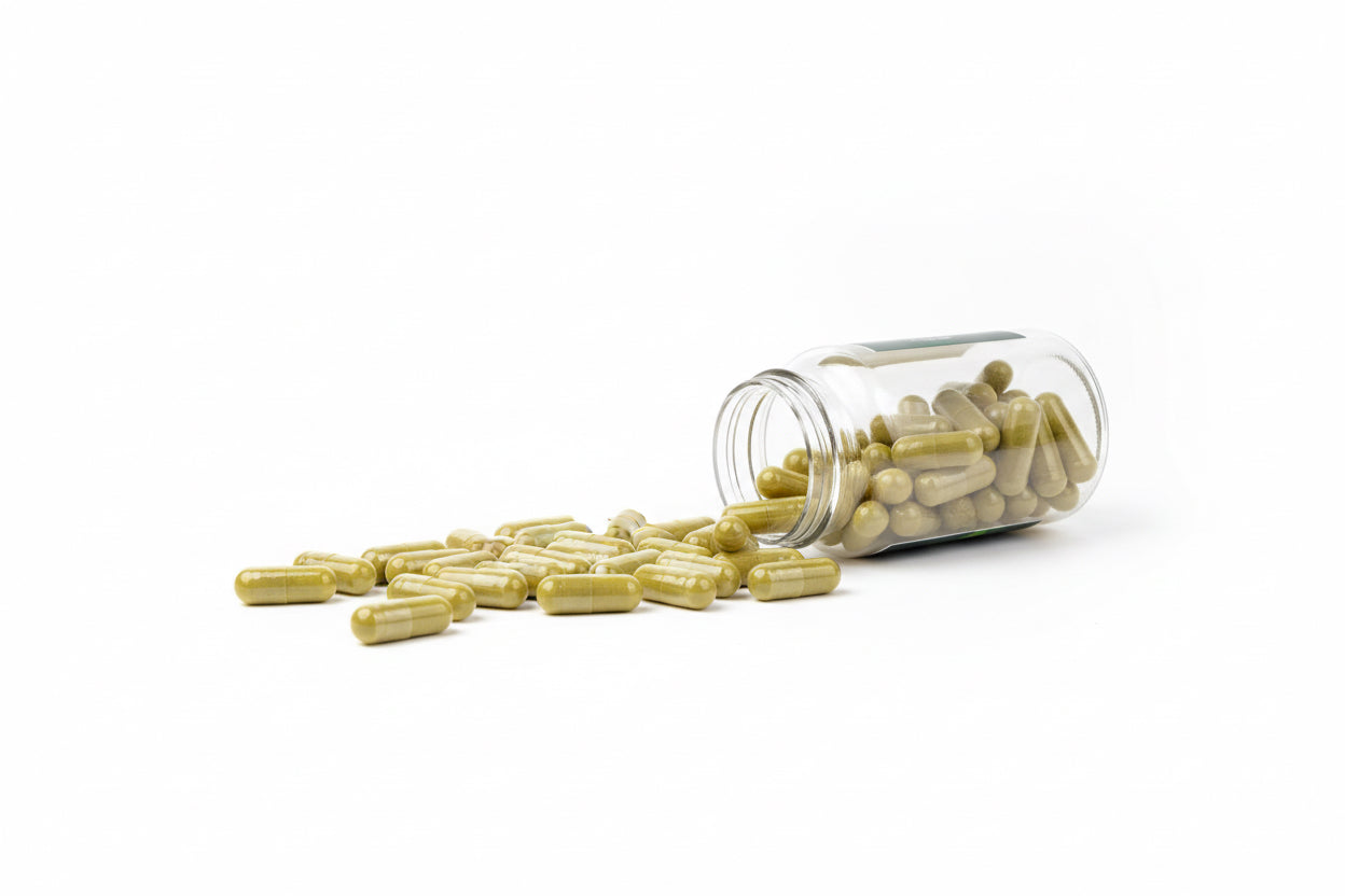 Gélules de moringa bio